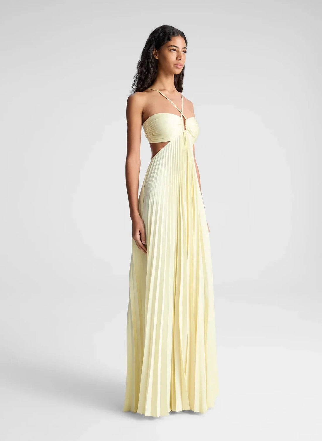 Monica Pleated Maxi Dress