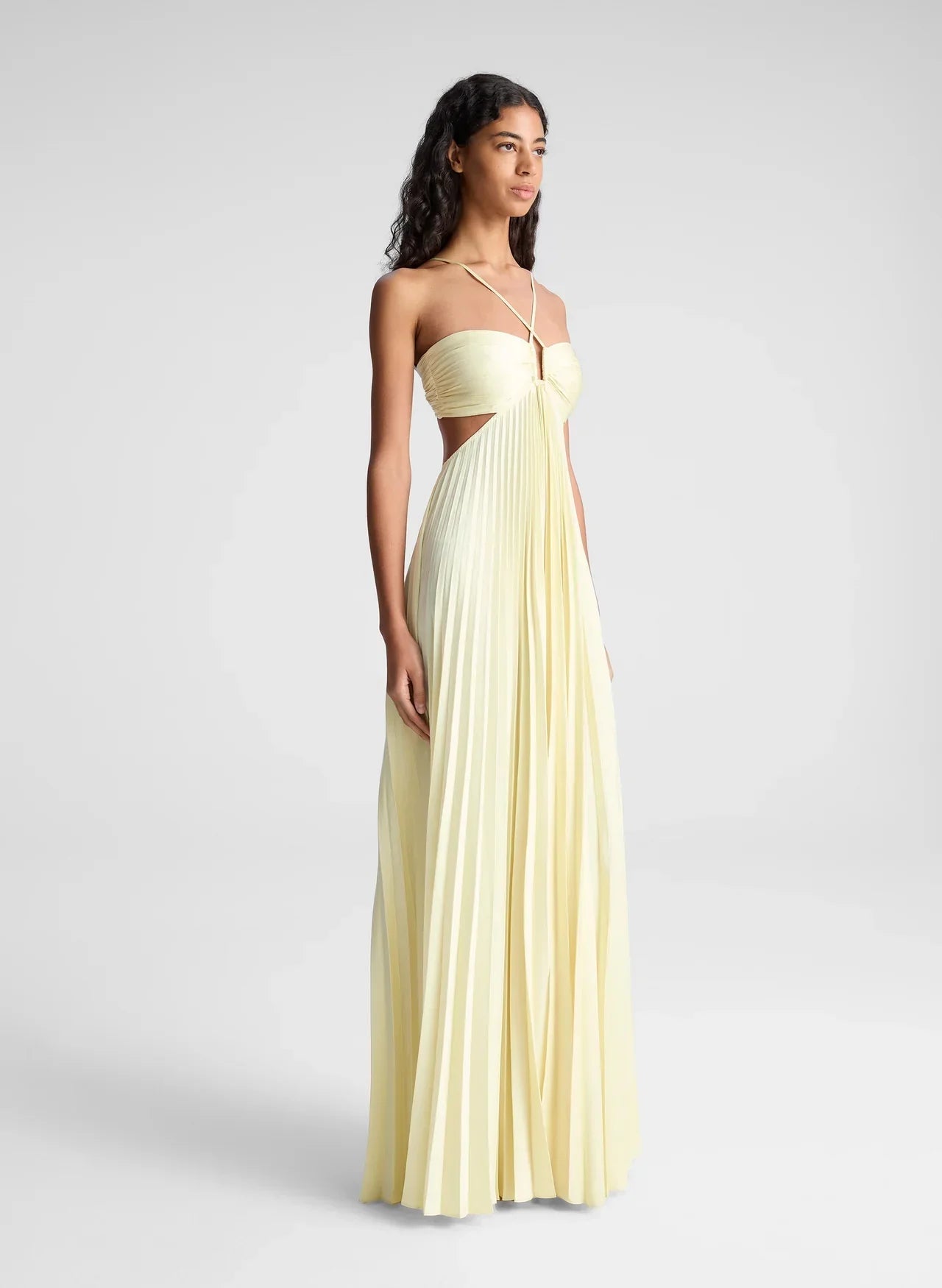 Monica Pleated Maxi Dress